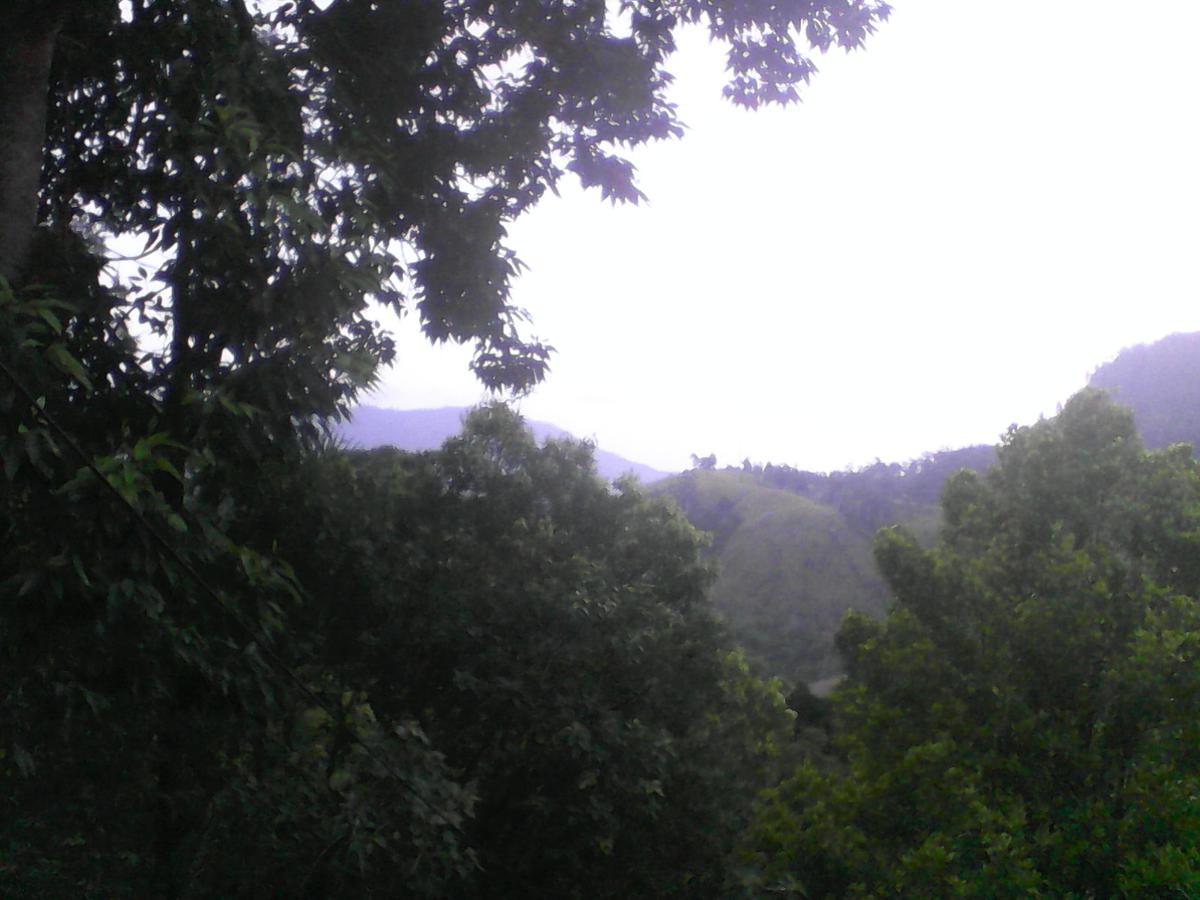 Damsen Homestay 埃拉 外观 照片