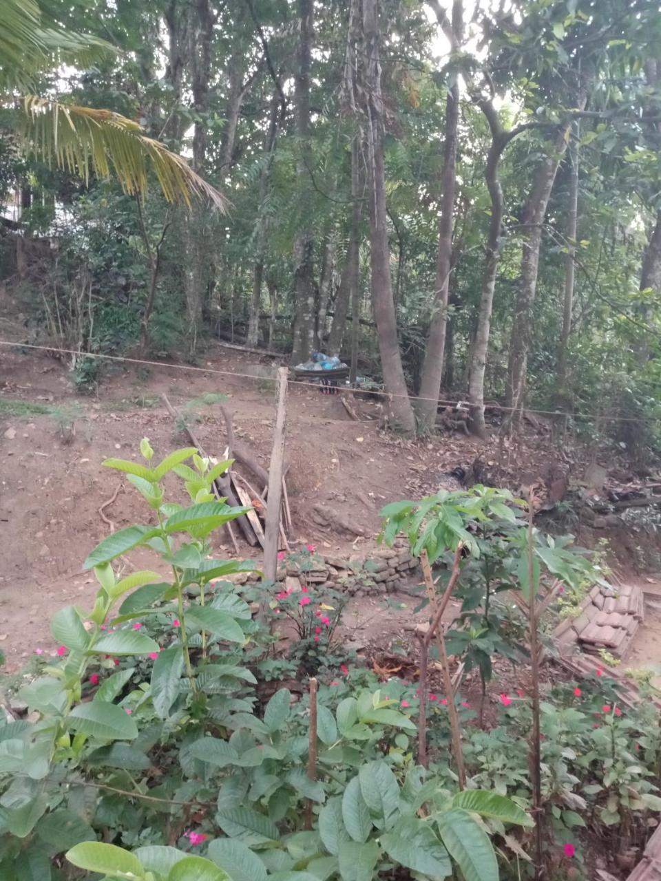Damsen Homestay 埃拉 外观 照片