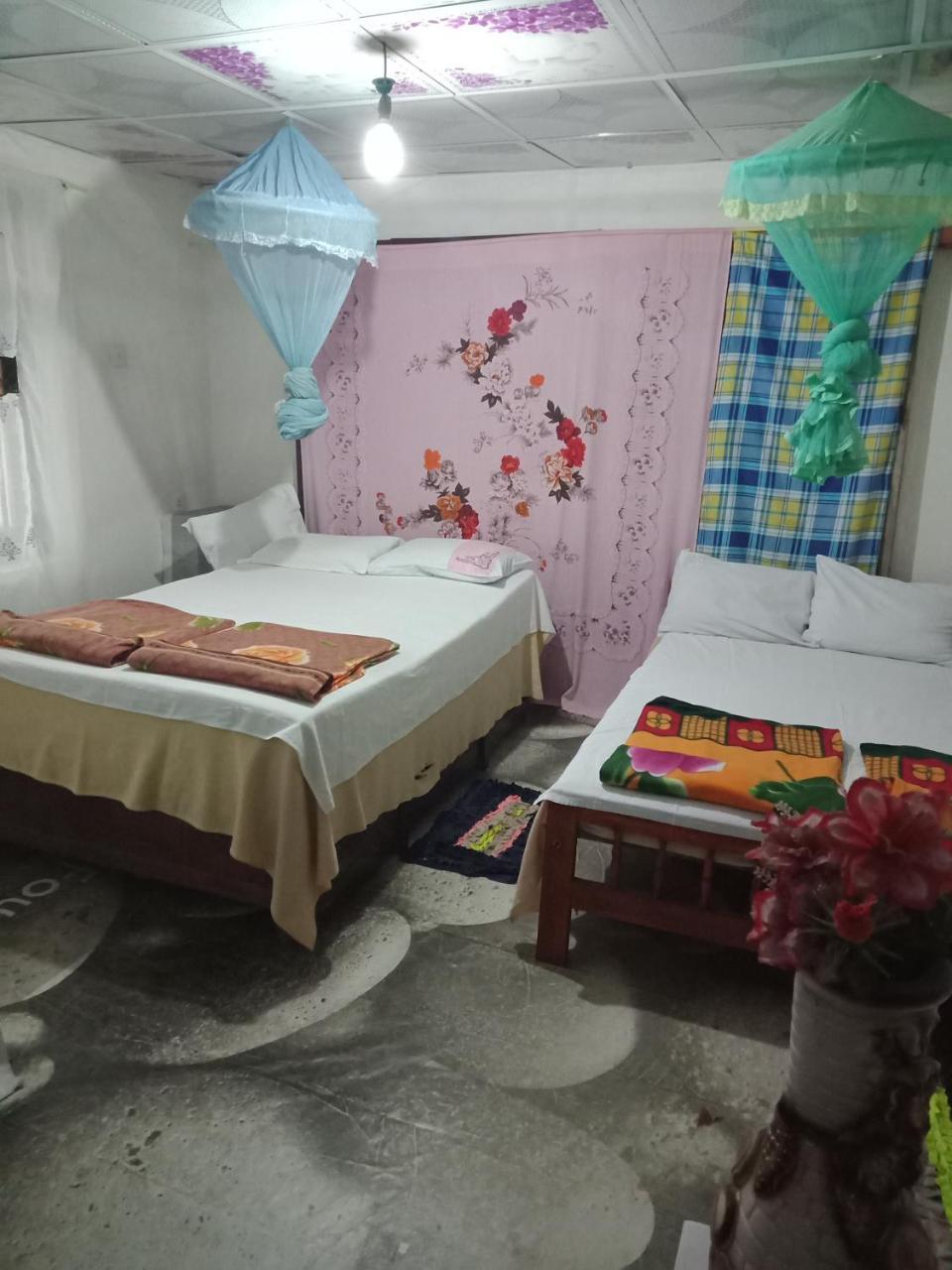 Damsen Homestay 埃拉 外观 照片