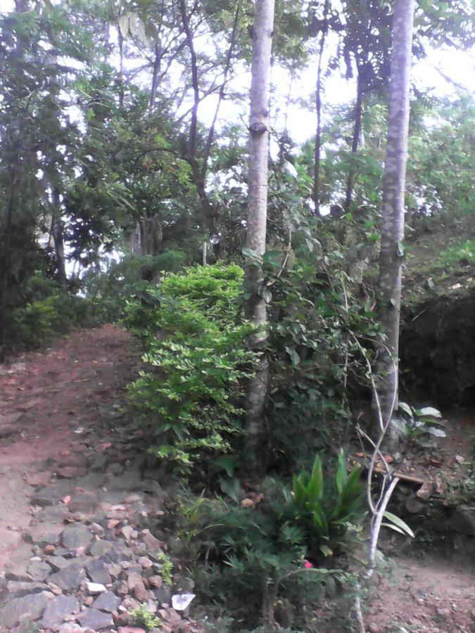 Damsen Homestay 埃拉 外观 照片
