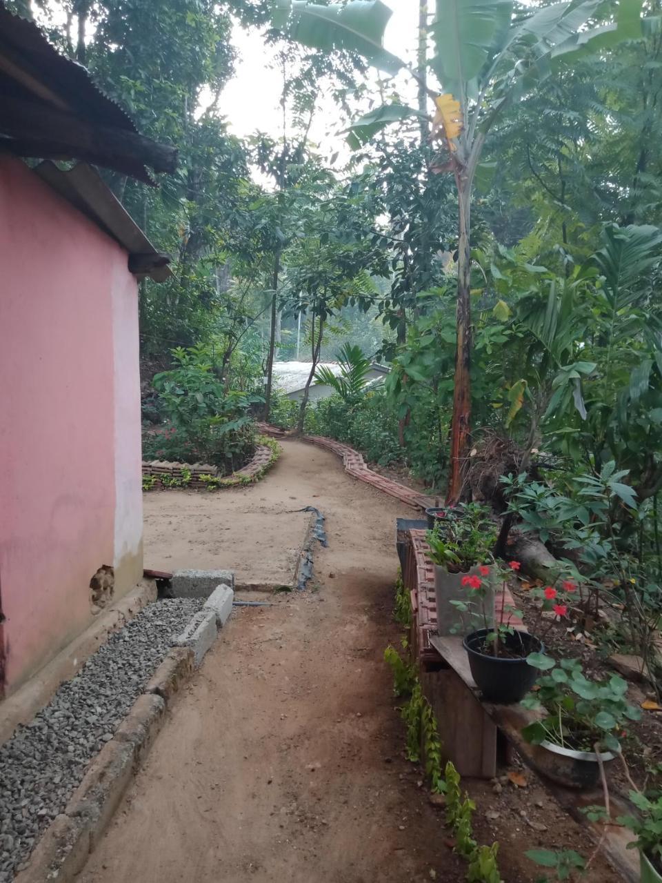 Damsen Homestay 埃拉 外观 照片