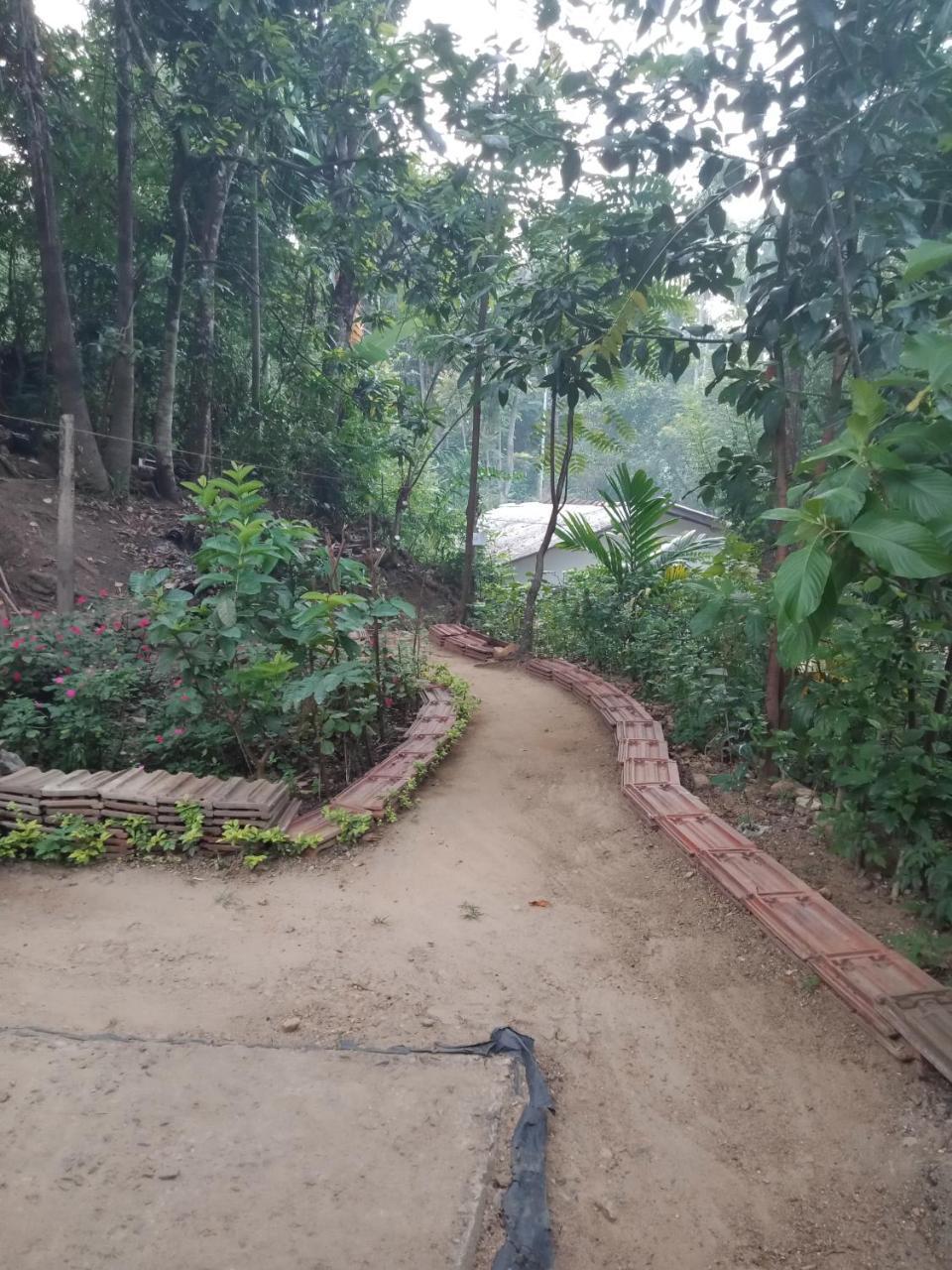 Damsen Homestay 埃拉 外观 照片