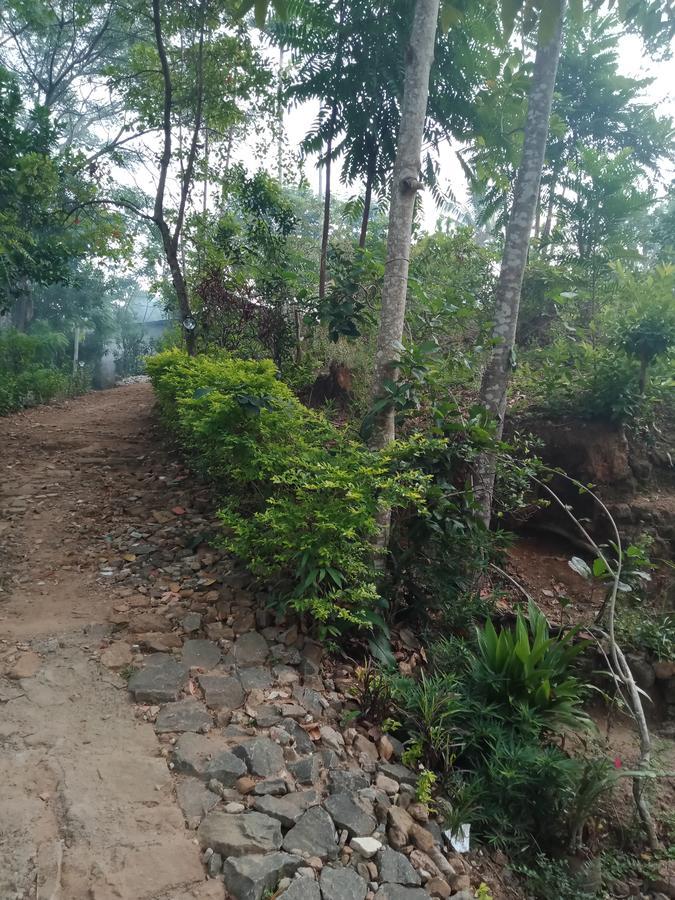 Damsen Homestay 埃拉 外观 照片
