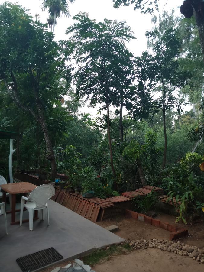 Damsen Homestay 埃拉 外观 照片