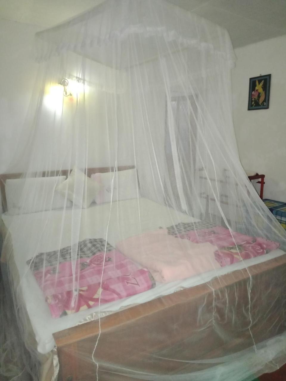 Damsen Homestay 埃拉 外观 照片