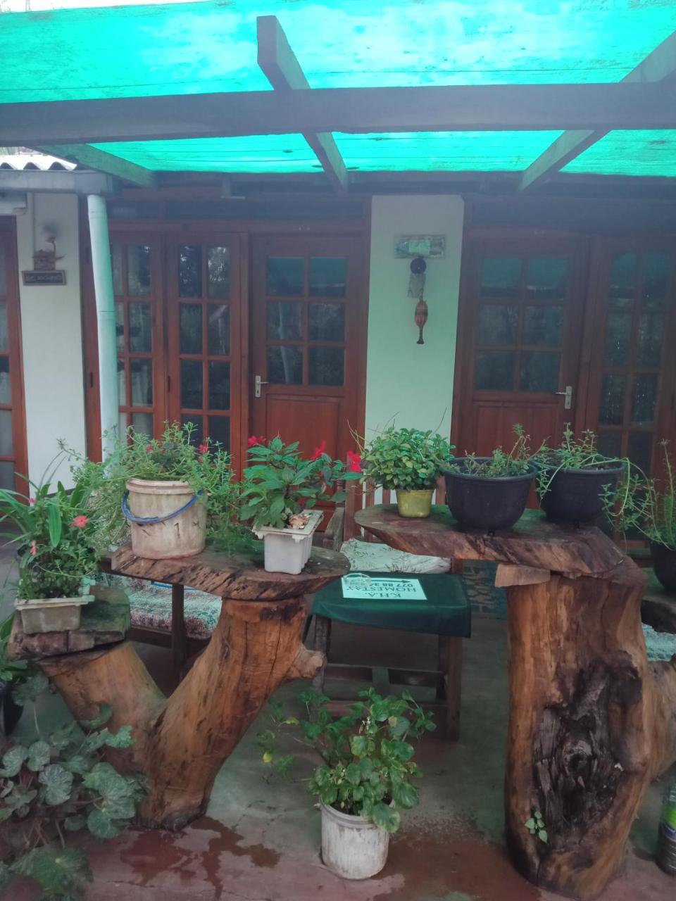 Damsen Homestay 埃拉 外观 照片